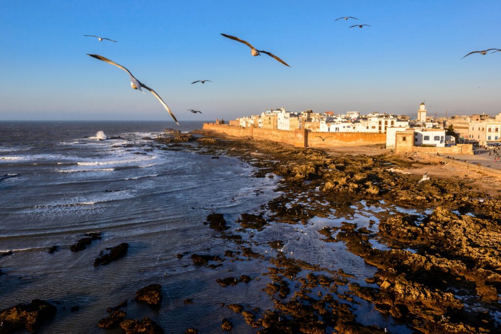 A stunning aerial capture of Essaouira, Morocco's rocky coastline and seagulls in flight during daytime.